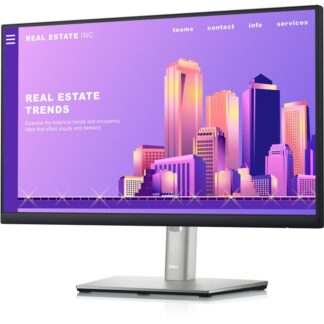 Dell Technologies DELL-P2222H Dell 22  Monitor P2222H